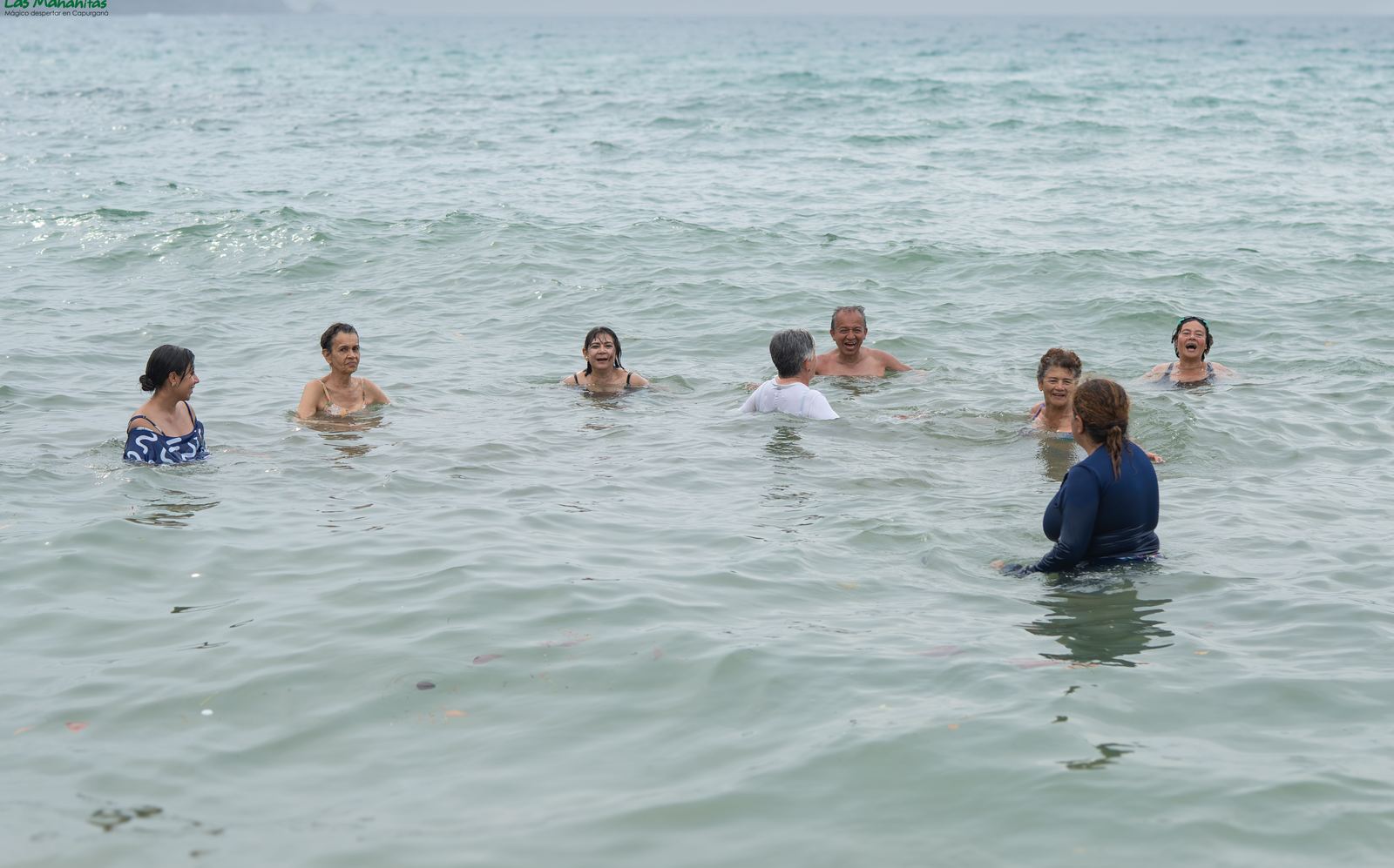 Guests swimming in clear water