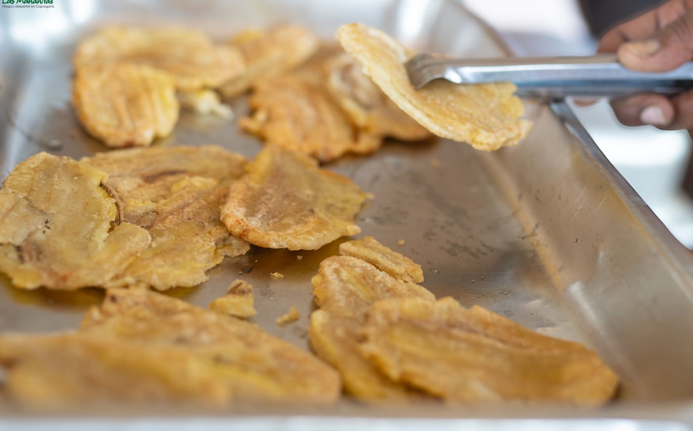 Patacones fresh from the kitchen