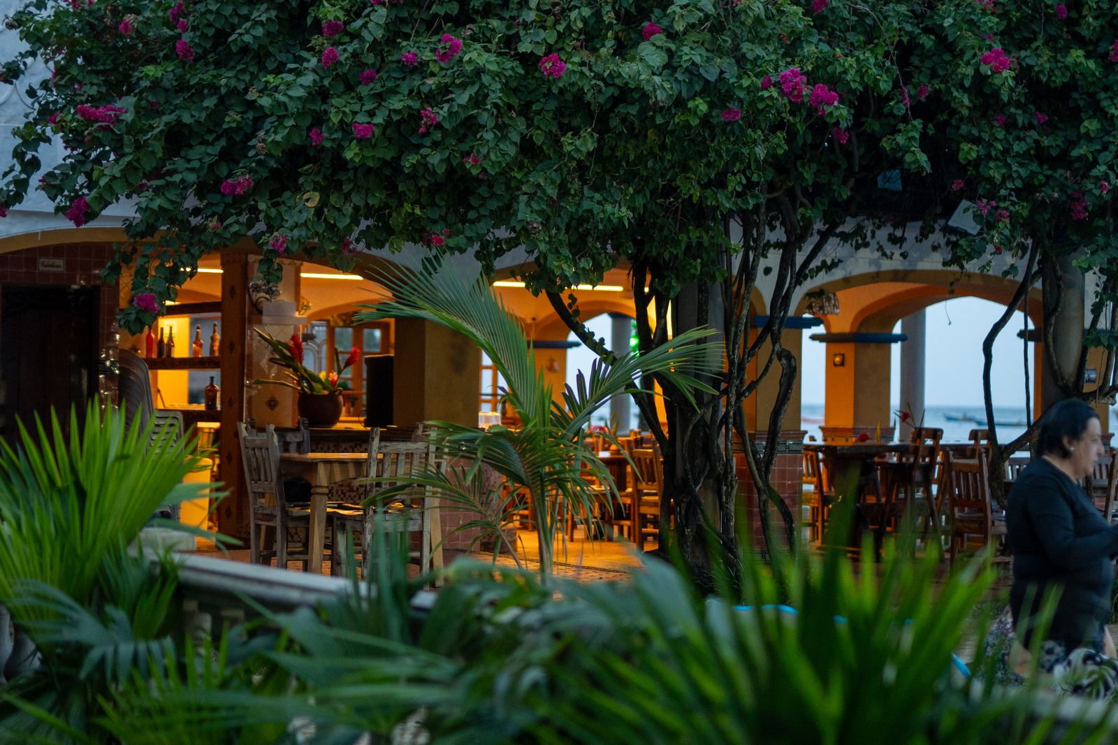 The bar in the evening